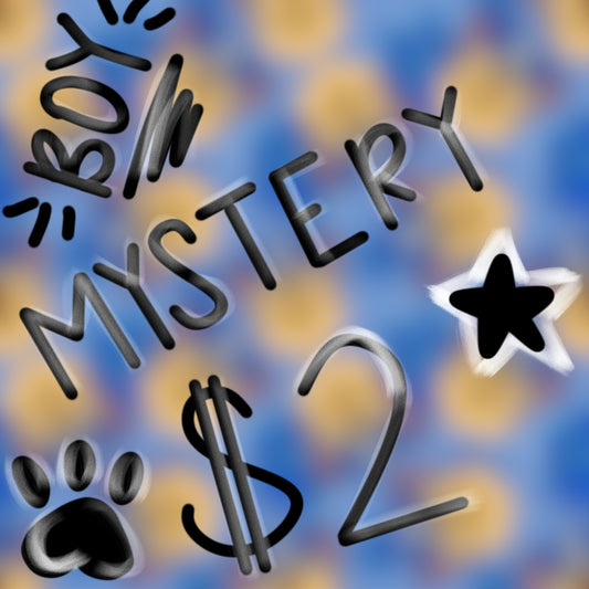 Boy Mystery